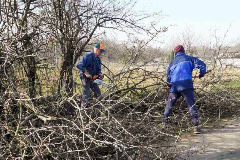 Душой за вёску: гісторыя аб неабыякавасці, вясковай супольнасці і імкненні да прыгажосці