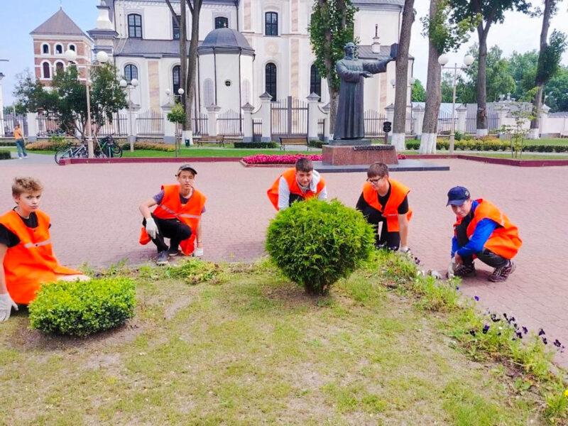 Опыт и первый заработок. На Несвижчине работают студенческие отряды