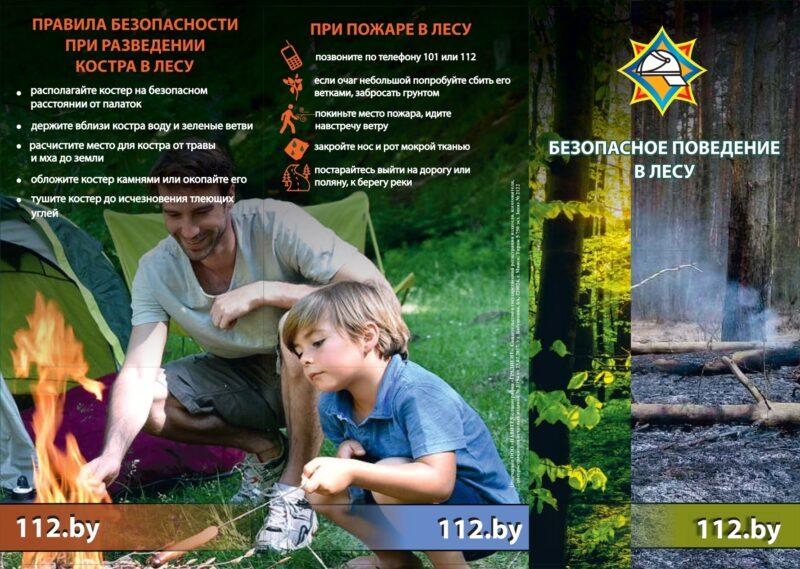 Напоминает МЧС: правила поведения в лесу
