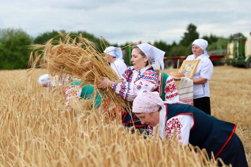 Черновик