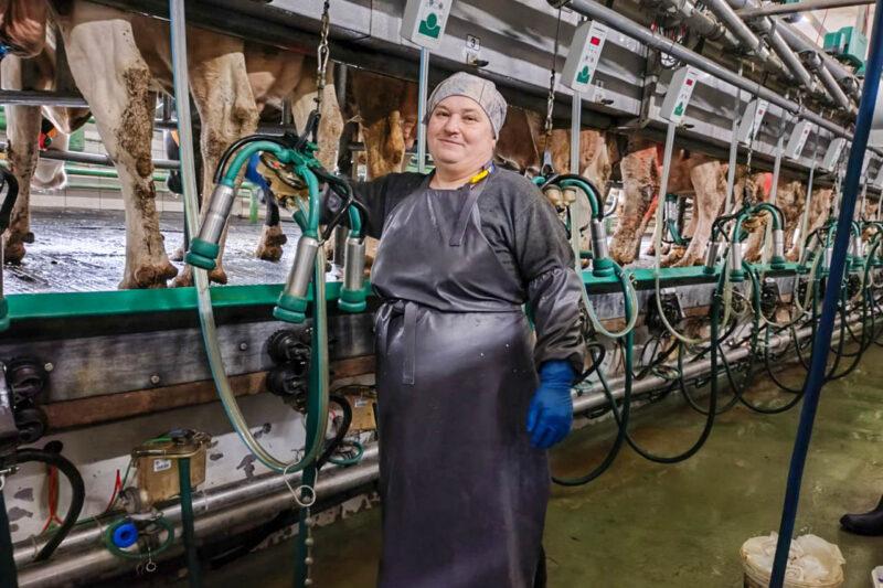 Як спрацавала паўгоддзе