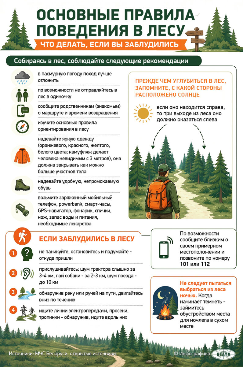 Основные правила поведения в лесу. Что делать, если вы заблудились