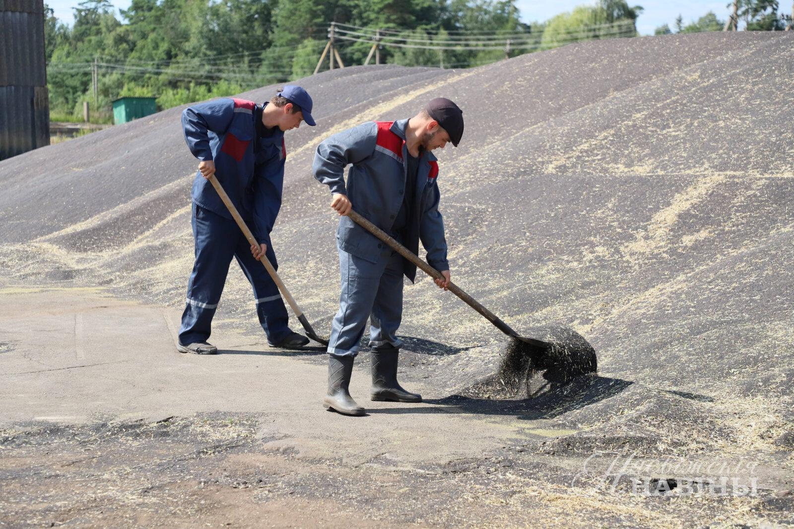 Летний десант на зернотоке