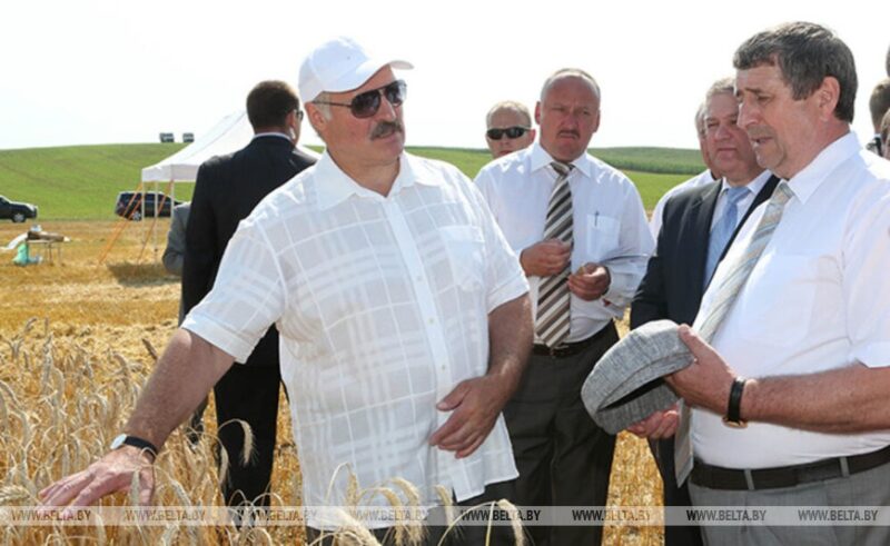 Лукашенко: "Кто не нюхал этого хлеба, тот никогда не поймет, что надо иметь свое". Как Беларусь обеспечивает свою продбезопасность
