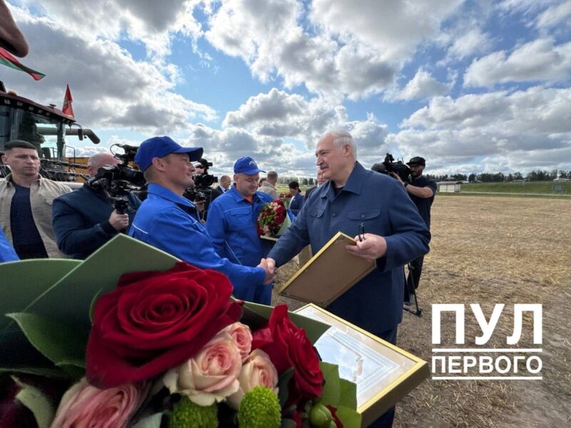 Черновик