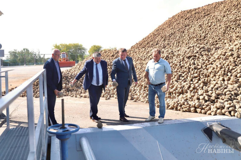 ОАО «ГОРОДЕЙСКИЙ САХАРНЫЙ КОМБИНАТ» начало переработку свеклы нового урожая.